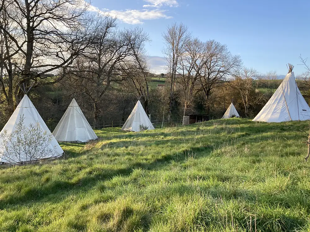 Tipis